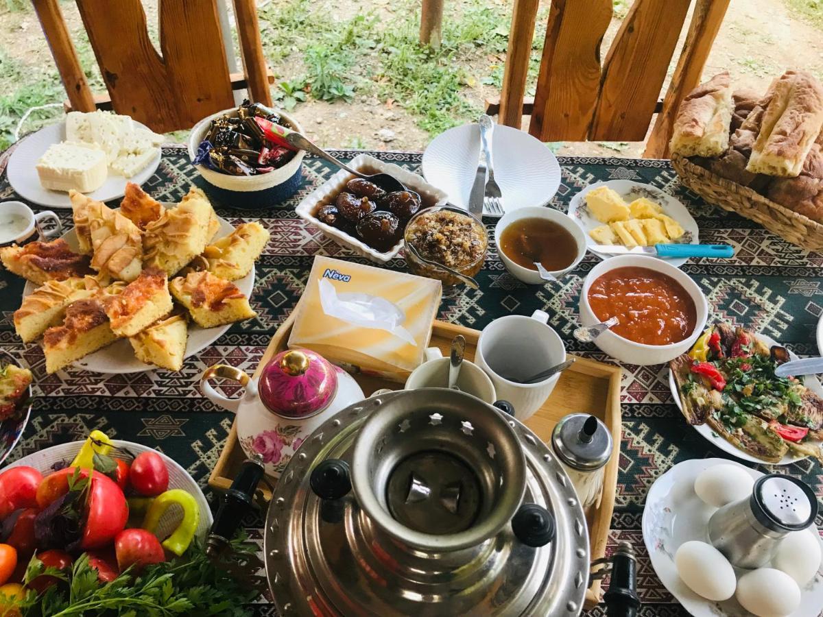 Tereza Glamping 호텔 Sanain 외부 사진