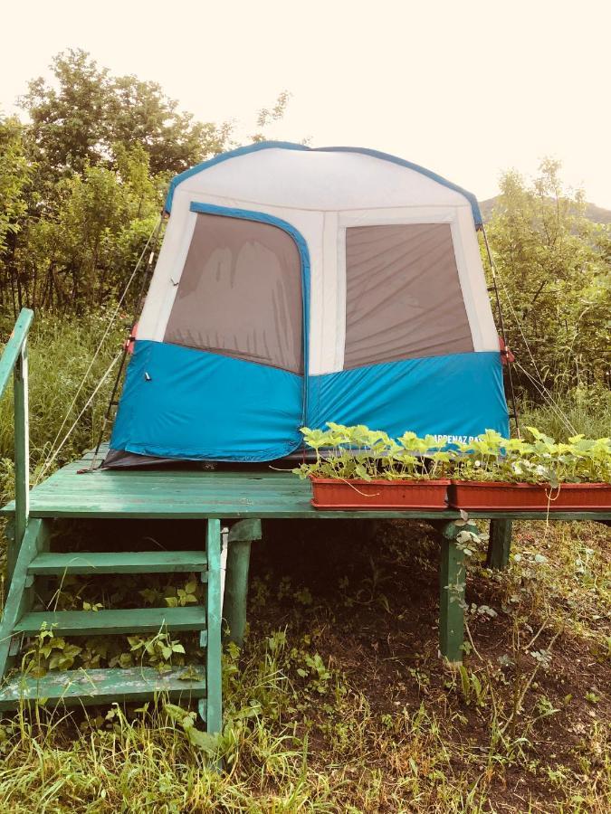 Tereza Glamping 호텔 Sanain 외부 사진