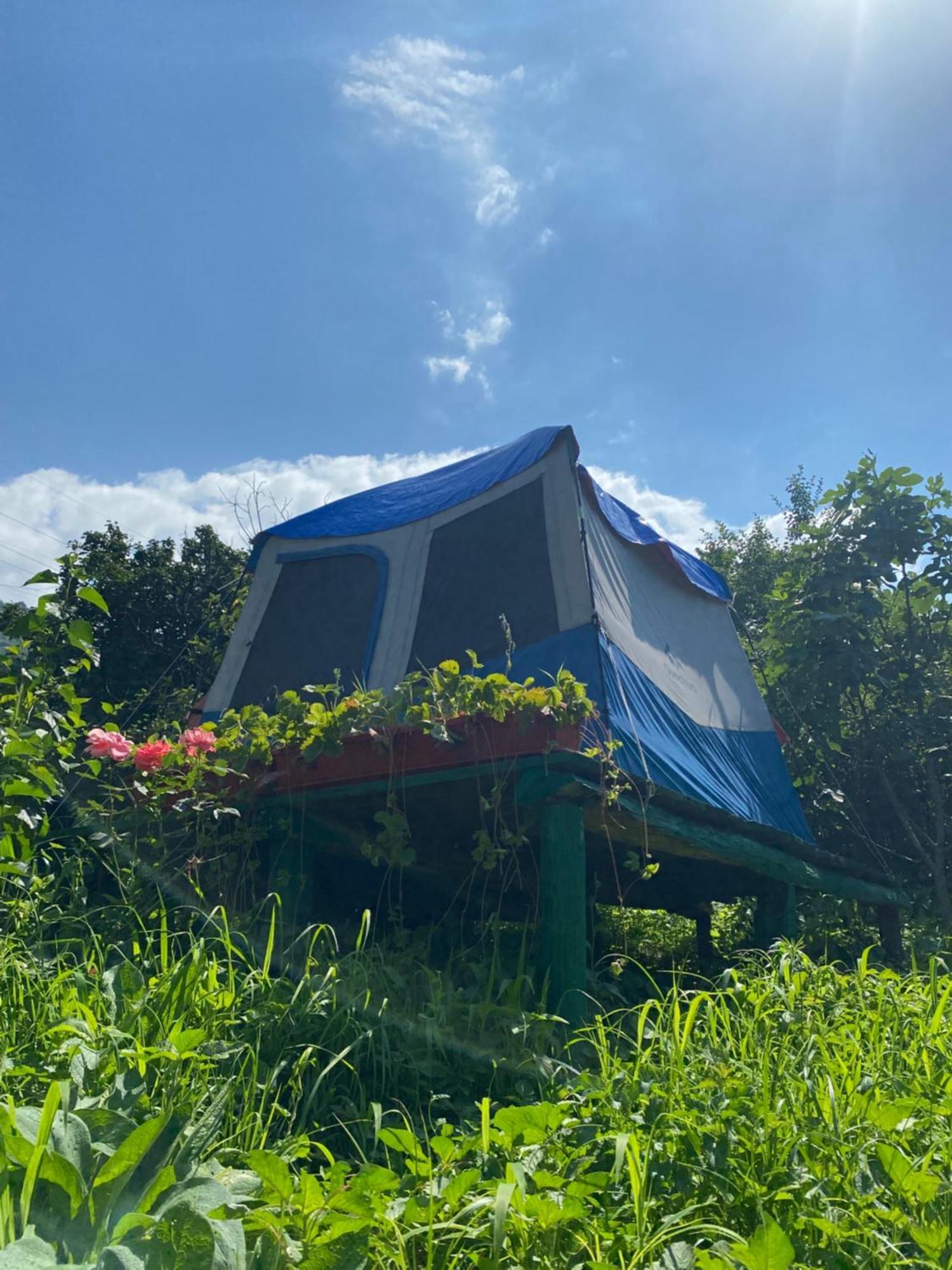 Tereza Glamping 호텔 Sanain 외부 사진